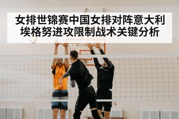 volleyball block net