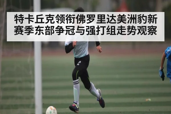 特卡丘克领衔佛罗里达美洲豹新赛季东部争冠与强打组走势观察