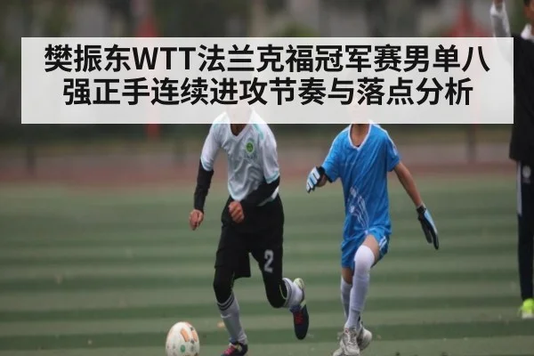 樊振东WTT法兰克福冠军赛男单八强正手连续进攻节奏与落点分析